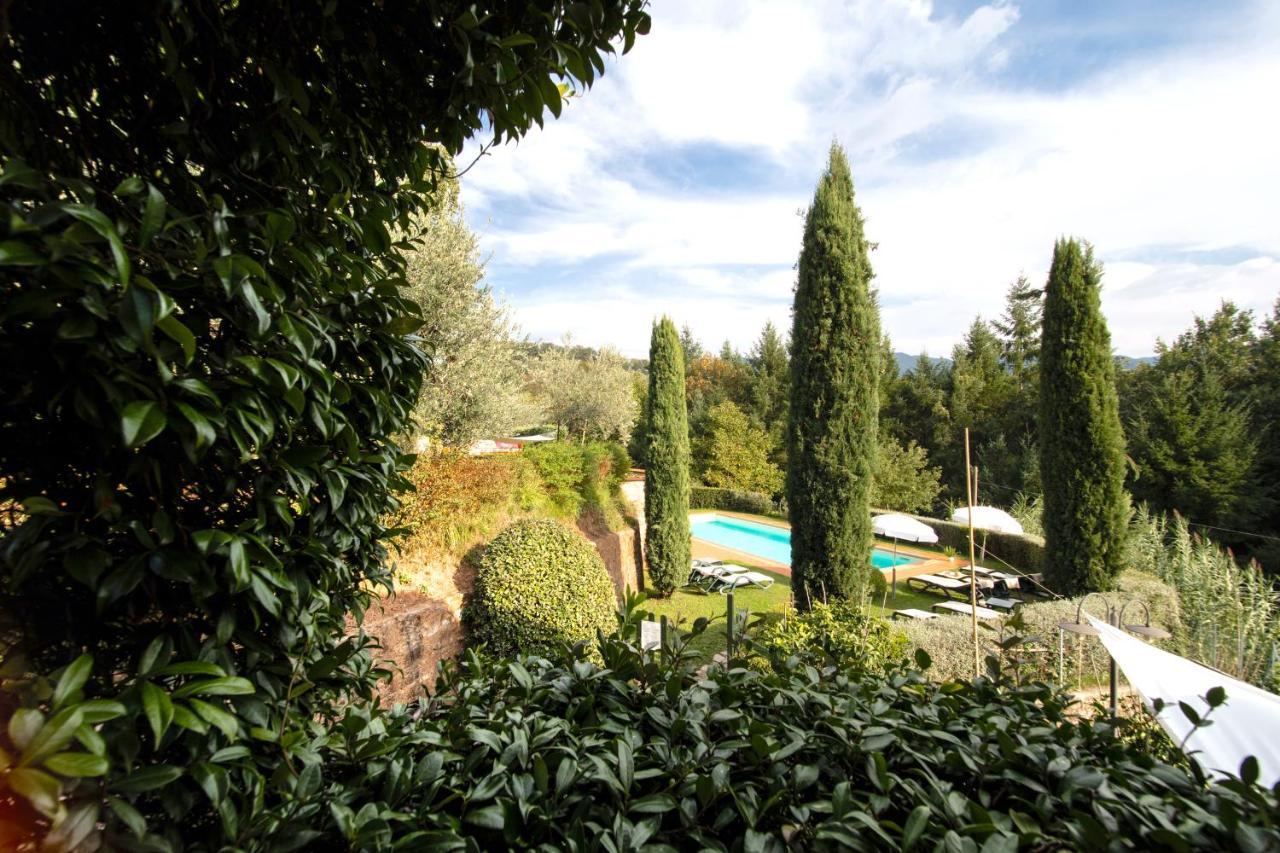 Casetta Di Butia, Glicine Apartment Borgo a Mozzano Exterior foto