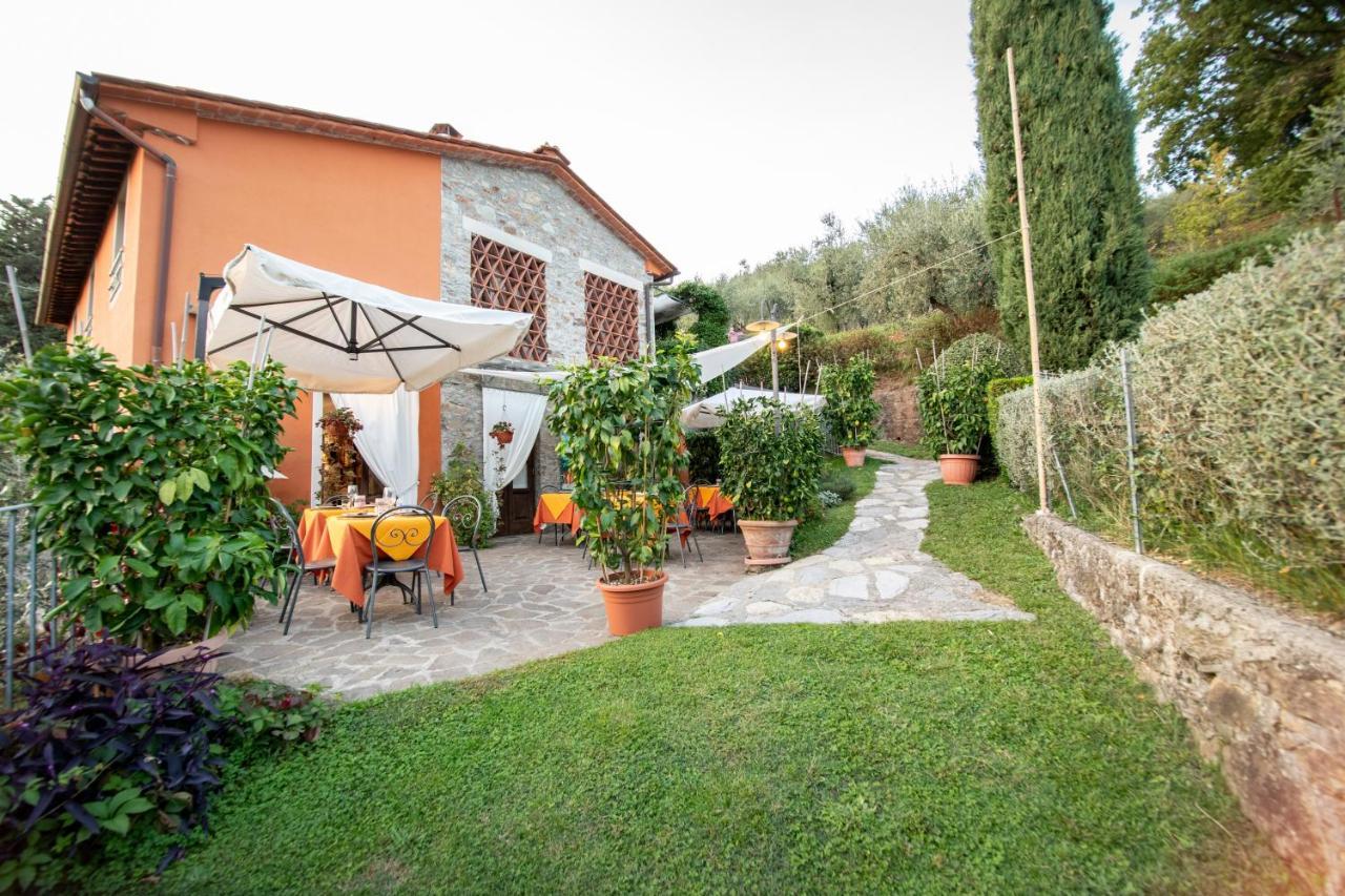Casetta Di Butia, Glicine Apartment Borgo a Mozzano Exterior foto