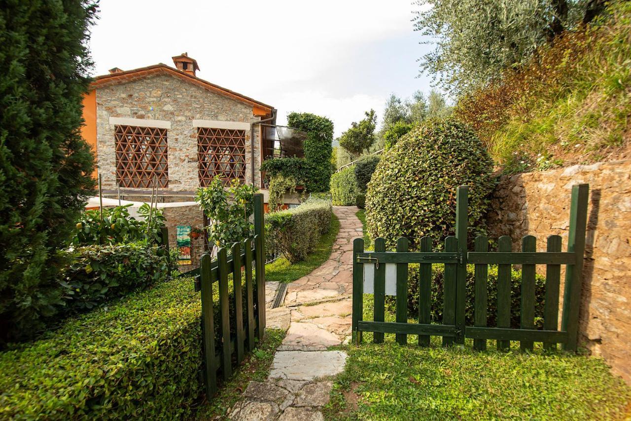 Casetta Di Butia, Glicine Apartment Borgo a Mozzano Exterior foto
