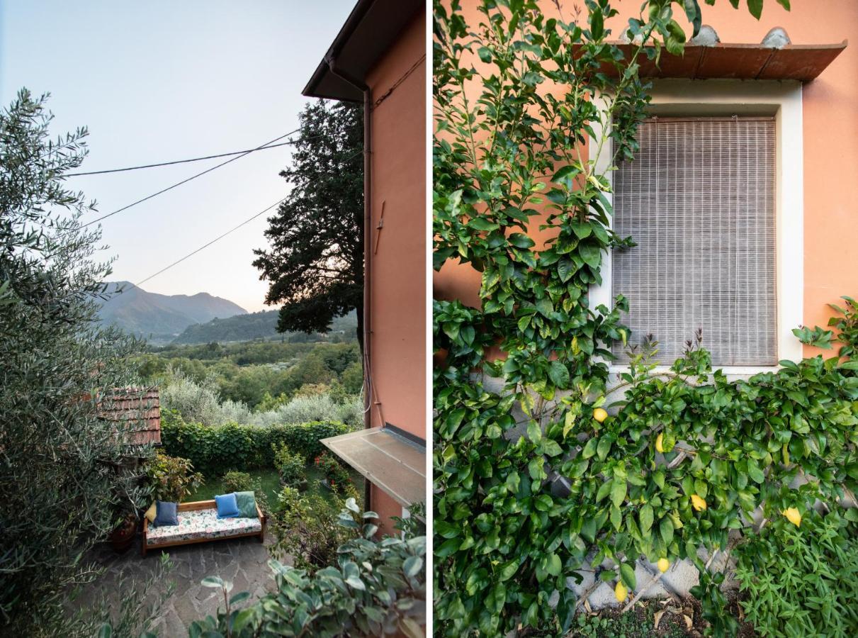 Casetta Di Butia, Glicine Apartment Borgo a Mozzano Exterior foto